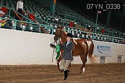 07YN_0338 proof