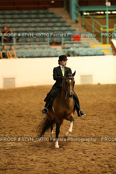 Proof 07YN_09700