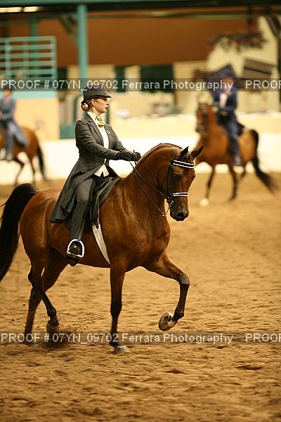 Proof 07YN_09702