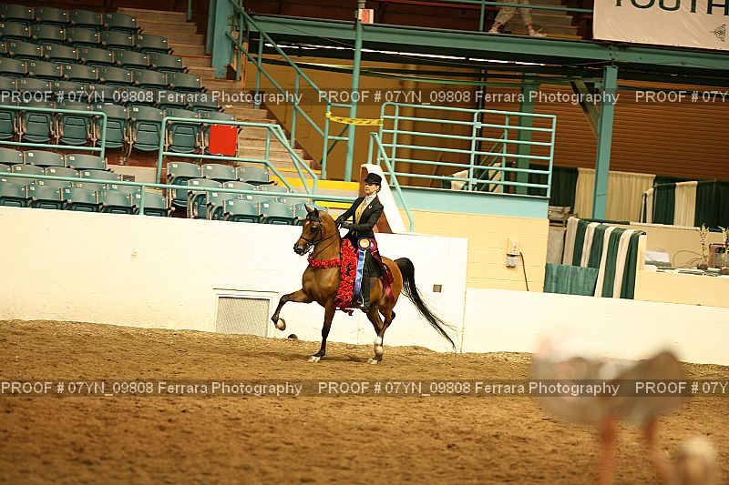 Proof 07YN_09808