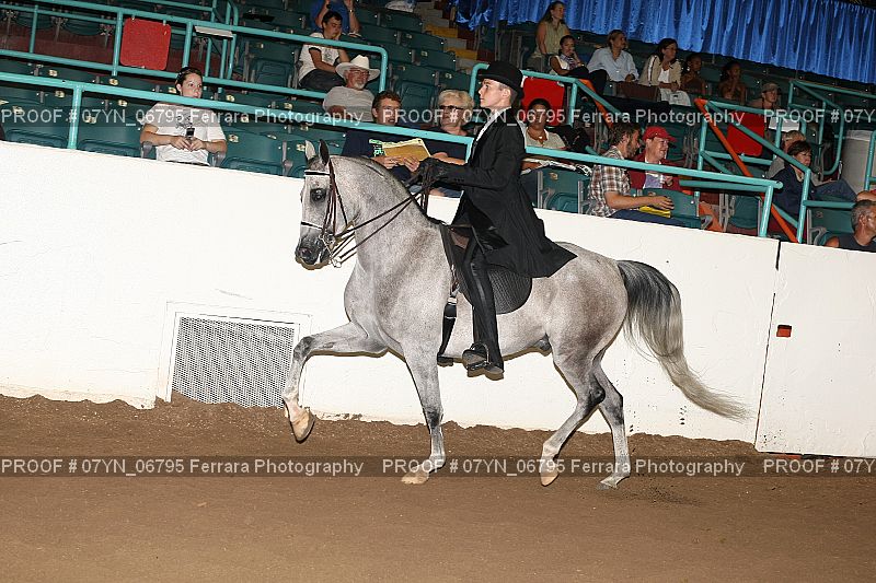 Proof 07YN_06795