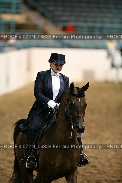 Proof 07YN_06839