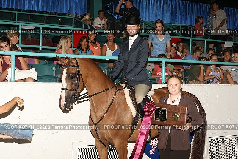 Proof 07YN_09288