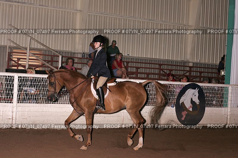 Proof 07YN_07497