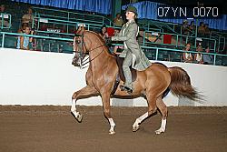 07YN_0070 proof