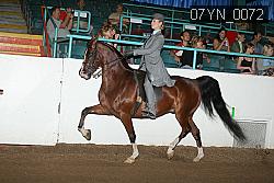 07YN_0072 proof