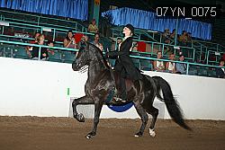 07YN_0075 proof