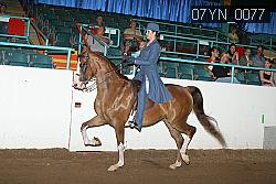 07YN_0077 proof