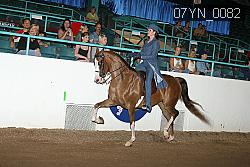 07YN_0082 proof