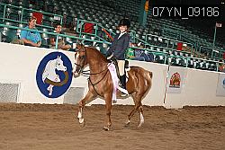 07YN_09186 proof