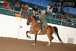 07YN_07053 proof