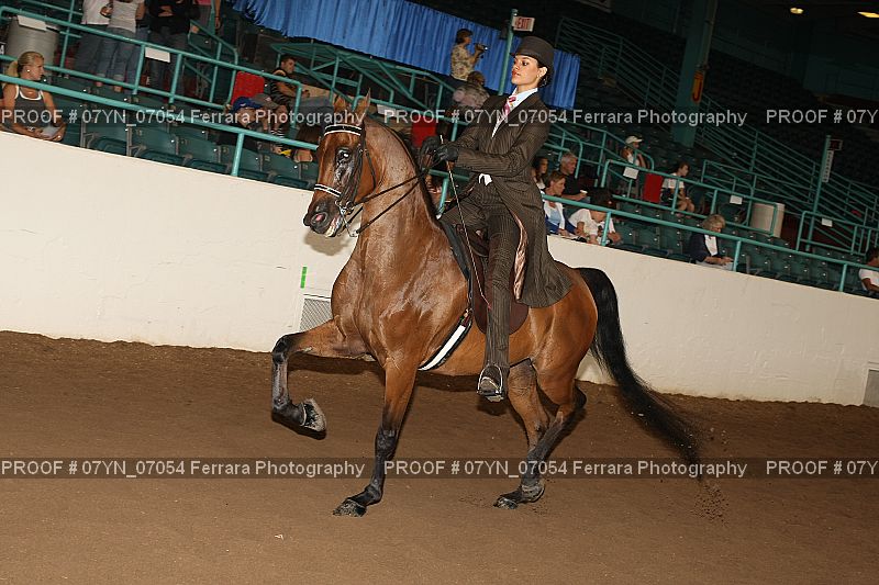 Proof 07YN_07054