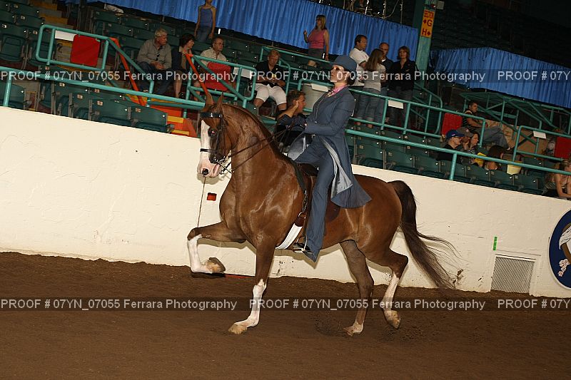 Proof 07YN_07055