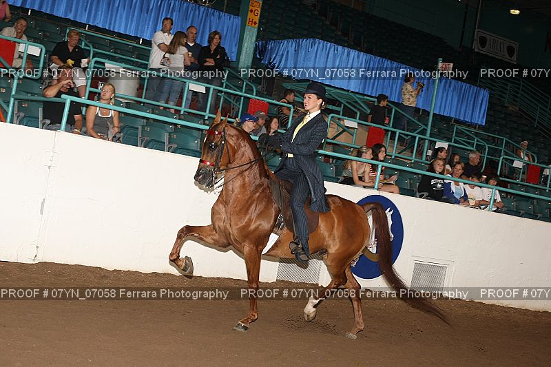 Proof 07YN_07058