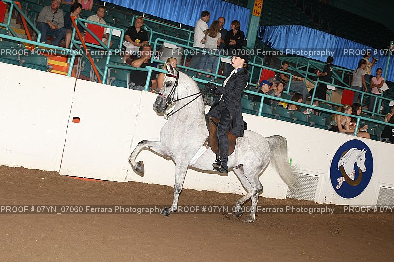 Proof 07YN_07060
