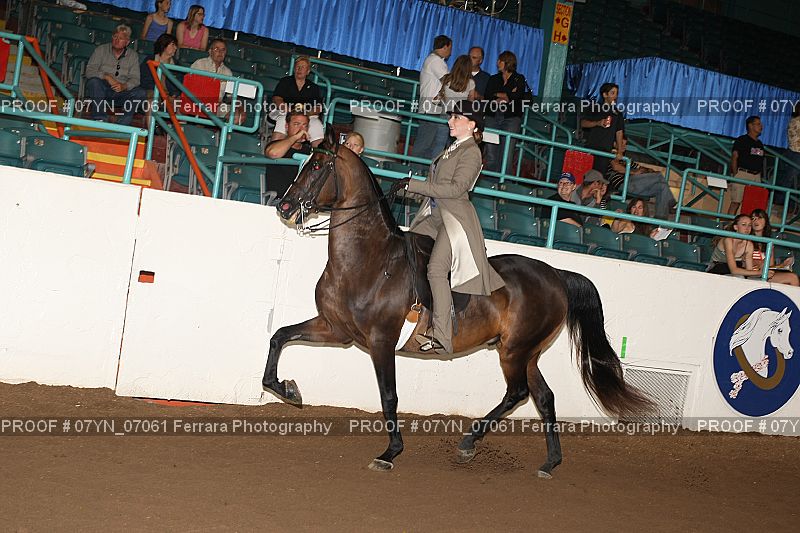 Proof 07YN_07061