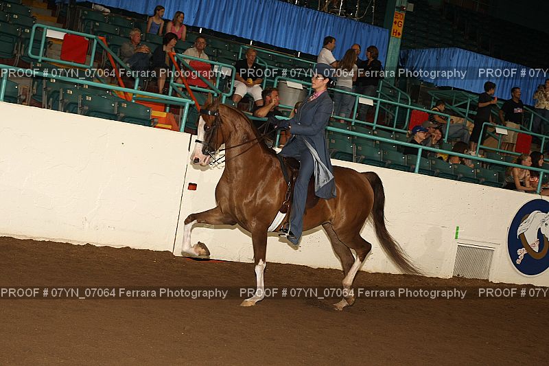 Proof 07YN_07064