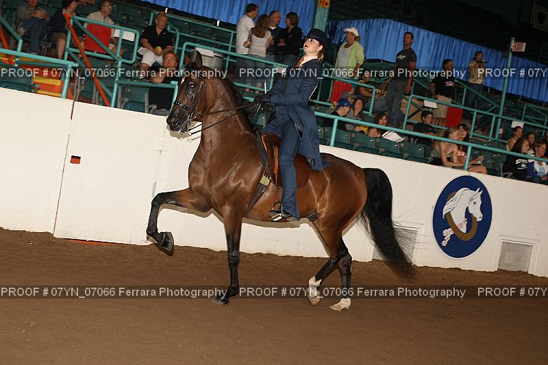 Proof 07YN_07066