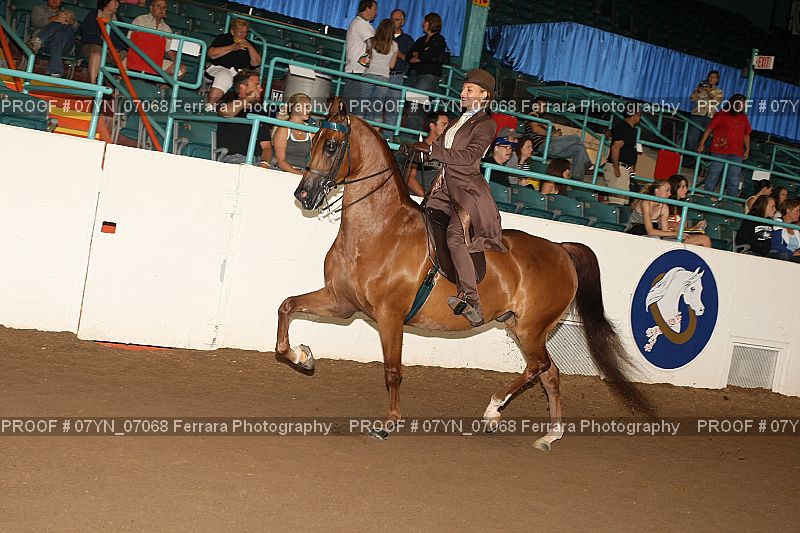Proof 07YN_07068