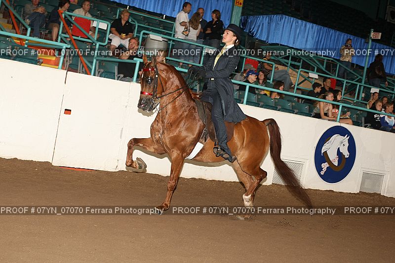 Proof 07YN_07070