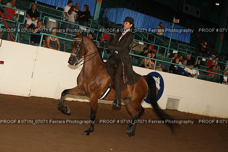 Proof 07YN_07071