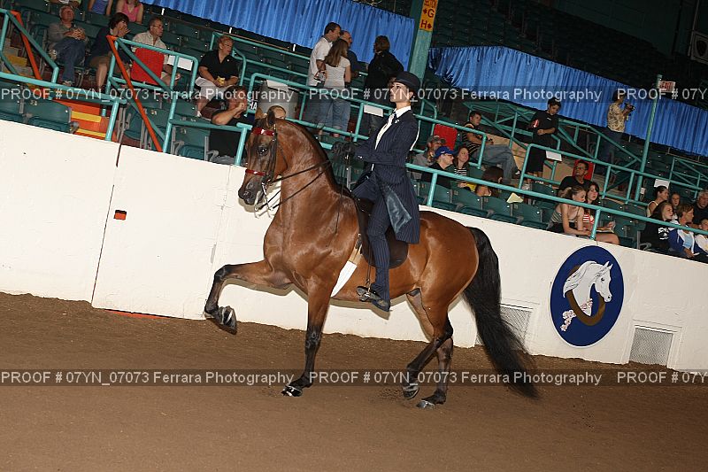 Proof 07YN_07073