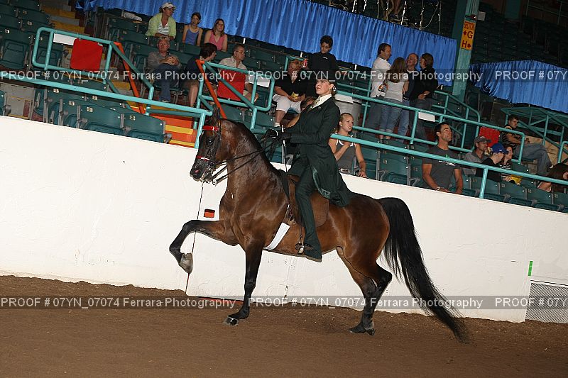 Proof 07YN_07074