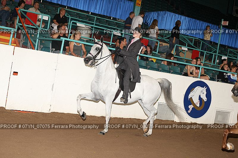 Proof 07YN_07075