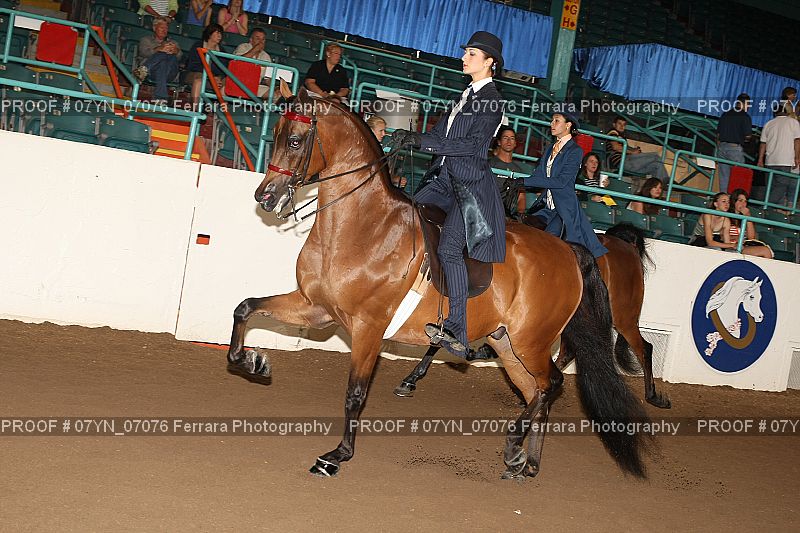 Proof 07YN_07076