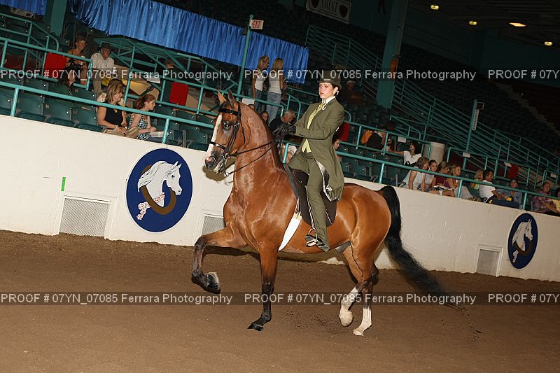 Proof 07YN_07085