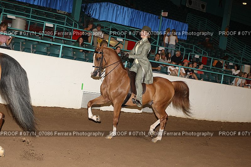 Proof 07YN_07086
