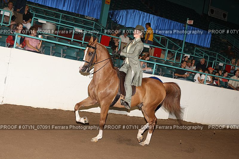 Proof 07YN_07091