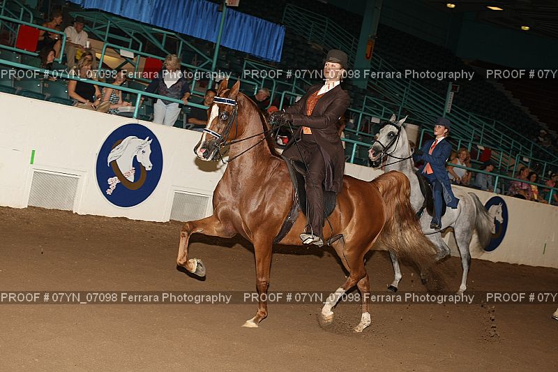 Proof 07YN_07098