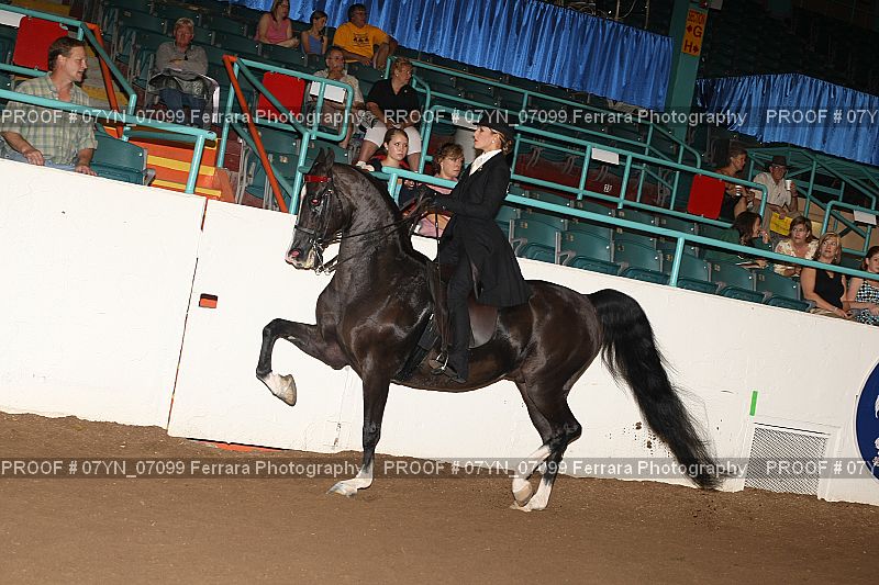 Proof 07YN_07099