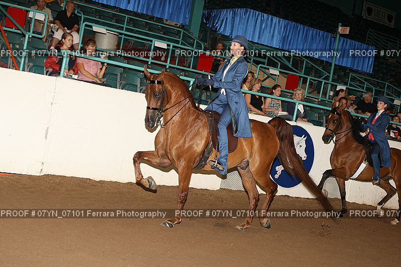 Proof 07YN_07101