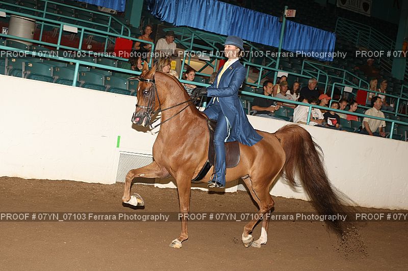 Proof 07YN_07103