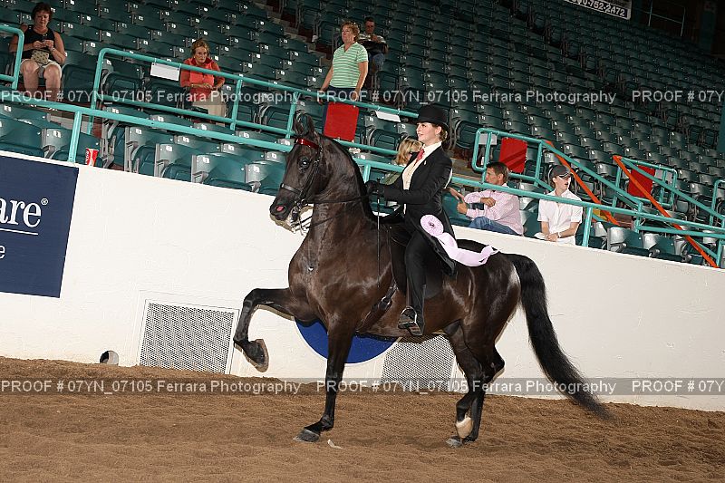 Proof 07YN_07105