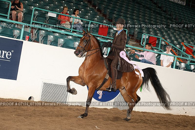 Proof 07YN_07109