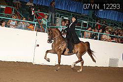 07YN_12293 proof