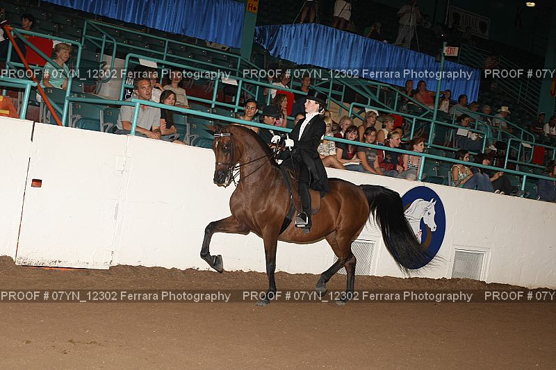 Proof 07YN_12302