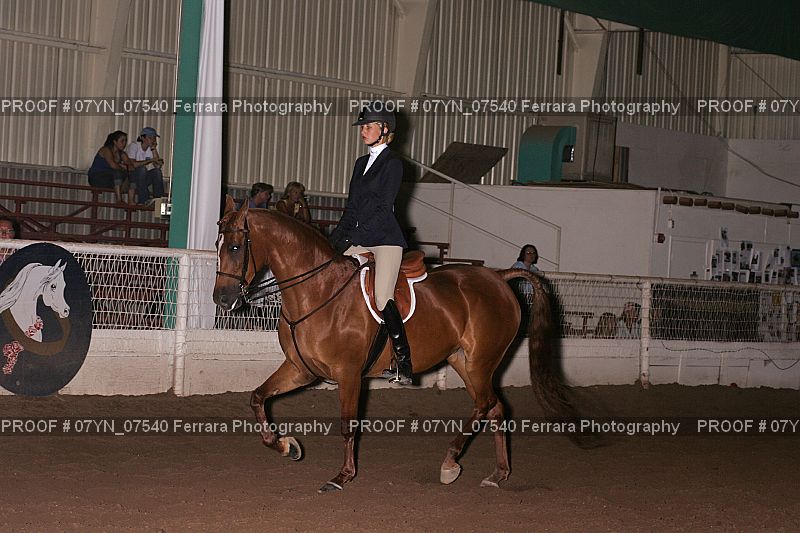 Proof 07YN_07540