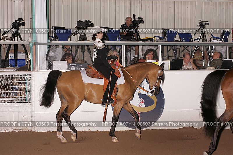 Proof 07YN_08503
