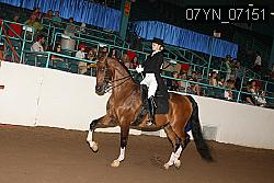 07YN_07151 proof