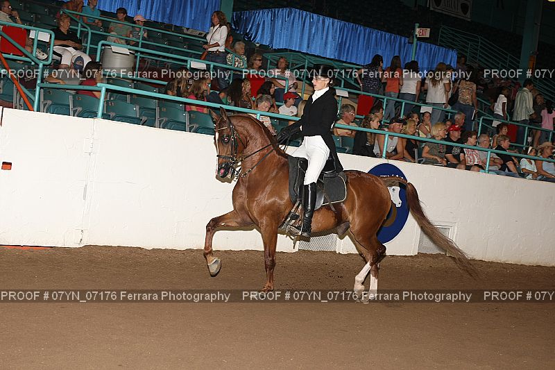 Proof 07YN_07176