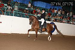 07YN_07176 proof
