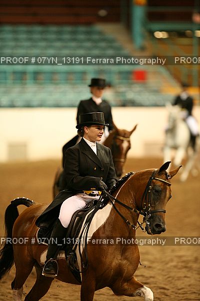 Proof 07YN_13191