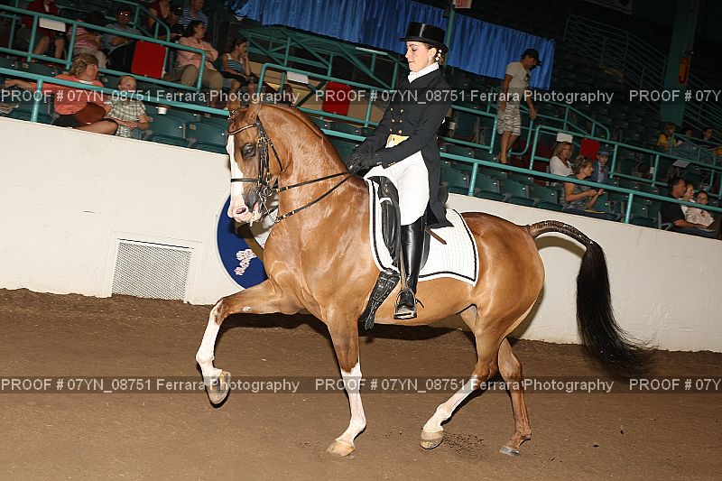 Proof 07YN_08751