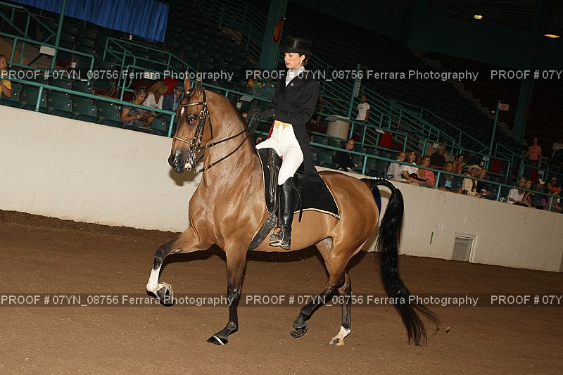 Proof 07YN_08756