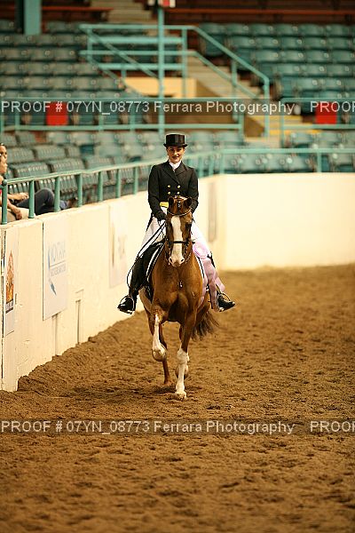 Proof 07YN_08773