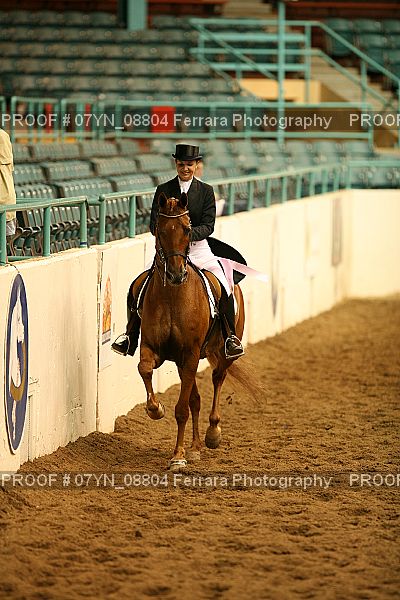 Proof 07YN_08804